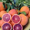 Arance rosse tipo Tarocco - buccia edibile, ideale per spremute e marmellate - box da 3kg